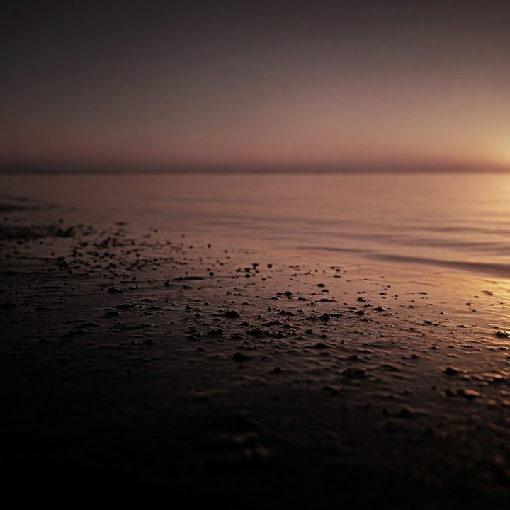 Obsidian Dawn